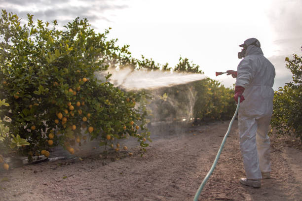 Best Wildlife Control Services  in Golden Shores, AZ